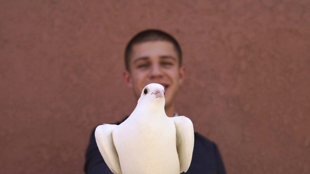 Dove Guy