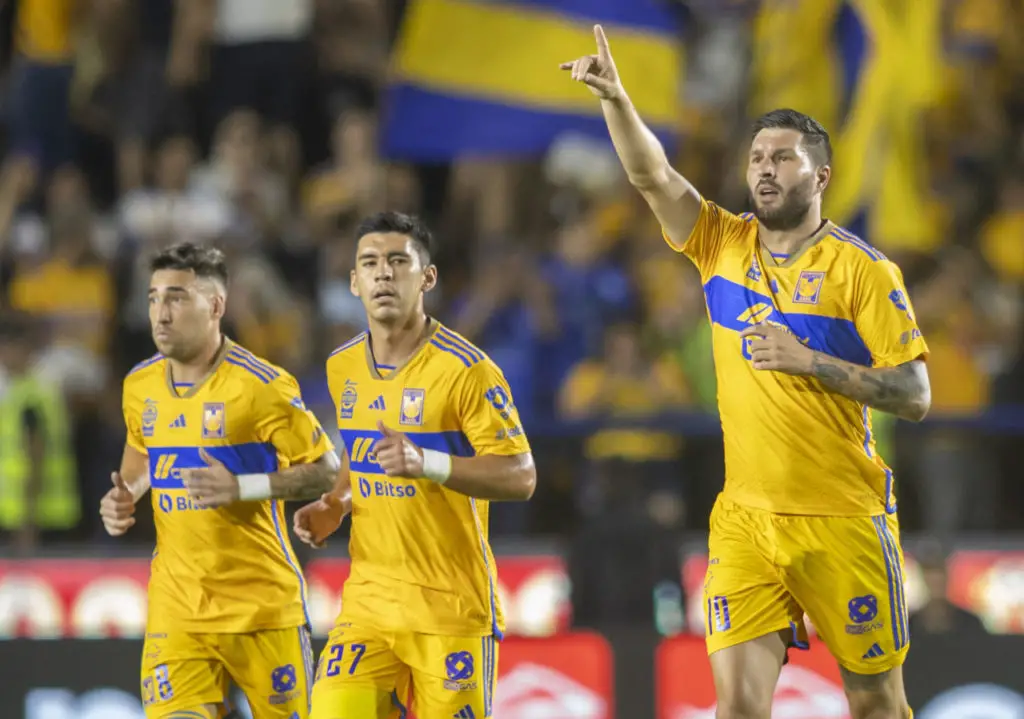 Tigres